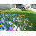 Blumenwiese "Unter Bäumen" 30m²
